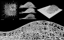 Arbeit von Yuxuan Chen