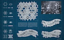 Arbeit von Elisa Thänert