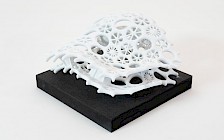 Arbeit von Elisa Thänert Foto: David Baar I Tu Braunschweig