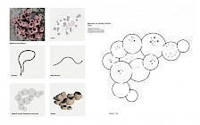 Arbeit von Golnaz Abedi