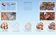 Analyse von Philipp Knaus