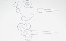 Grundrisse von Maximilian Götze