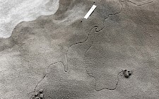 Ausschnitt Umgebungsmodell von Jannis Petereit