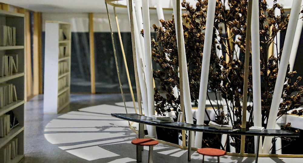 Edward Dederer &amp; Tiana Hilker