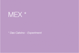 Fiktion spiegeln: Das Calvino - Experiment'