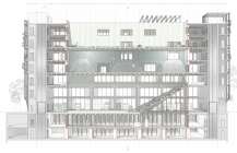 Längsschnitt von Johanna Jungeblut