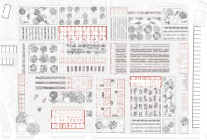 Grundriss von Alena Stelloh